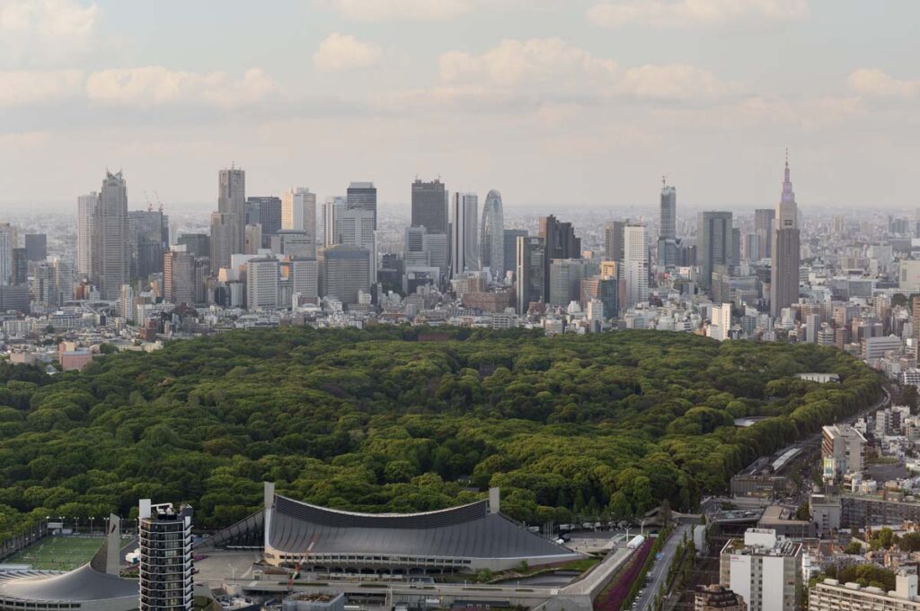 Understanding Chinese Patent Types: A Simple Guide for Innovators