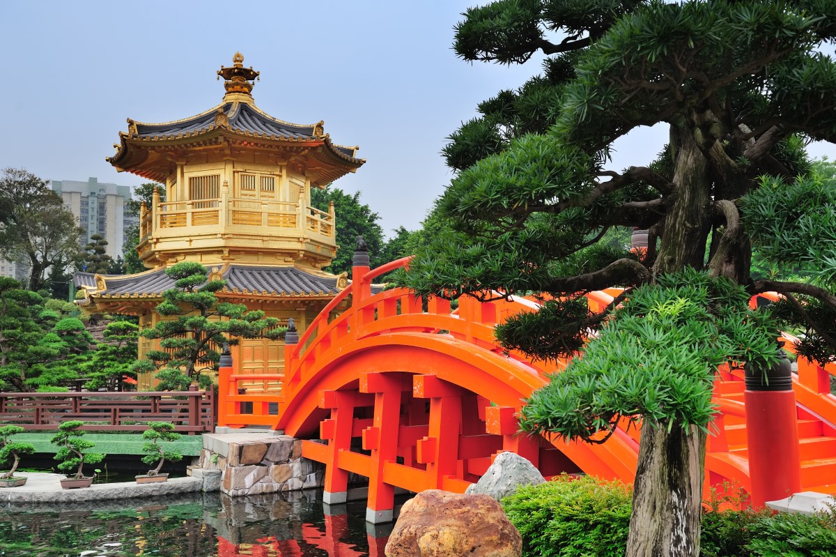 Real Cases: Successful IP Disputes Handled by Chinese Law Firms