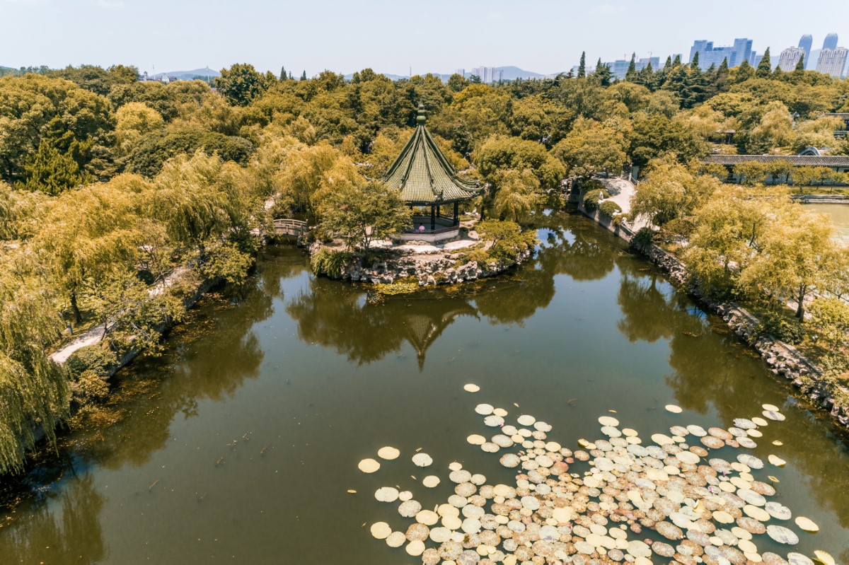 How to Choose a China Trademark Search Company 2026
